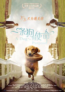 揉啊嗯～出水了视频